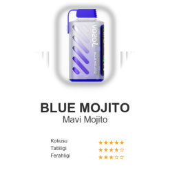 Vazol Gear 20000 - Blue Mojito