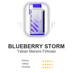 Vazol Gear 20000 - Blueberry Storm