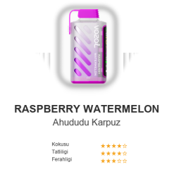 Vazol Gear 20000 - Raspberry Watermelon