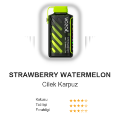 Vazol Gear 20000 - Strawberry Watermelon