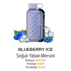 Vazol Gear 50000 - Blueberry Ice