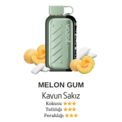 Vazol Gear 50000 - Melon Gum
