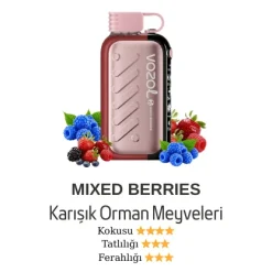 Vazol Gear 50000 - Mixed Berries