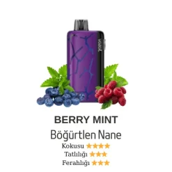 Vazol Neon 45000 - Berry Mint