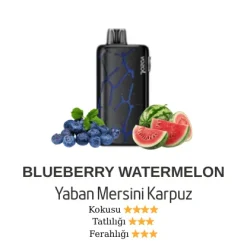 Vazol Neon 45000 - Blueberry Watermelon