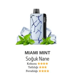 Vazol Neon 45000 - Miami Mint