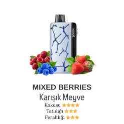 Vazol Neon 45000 - Mixed Berries