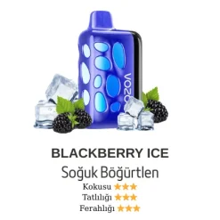Vazol Rave 40000 - Blackberry Ice