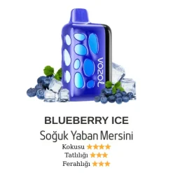 Vazol Rave 40000 - Blueberry Ice
