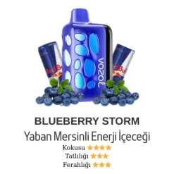 Vazol Rave 40000 - Blueberry Storm