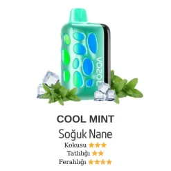 Vazol Rave 40000 - Cool Mint