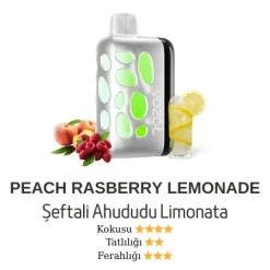 Vazol Rave 40000 - Peach Rasberry Lemonade