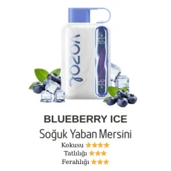 Vazol Star 40000 - Blueberry Ice