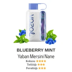Vazol Star 40000 - Blueberry Mint