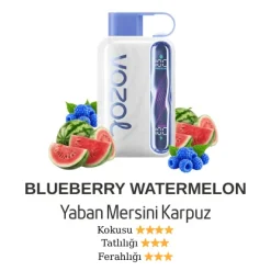 Vazol Star 40000 - Blueberry Watermelon