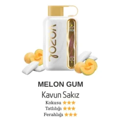 Vazol Star 40000 - Melon Gum