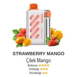 Vazol Vista 40000 - Strawberry Mango