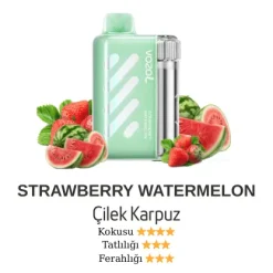 Vazol Vista 40000 - Strawberry Watermelon
